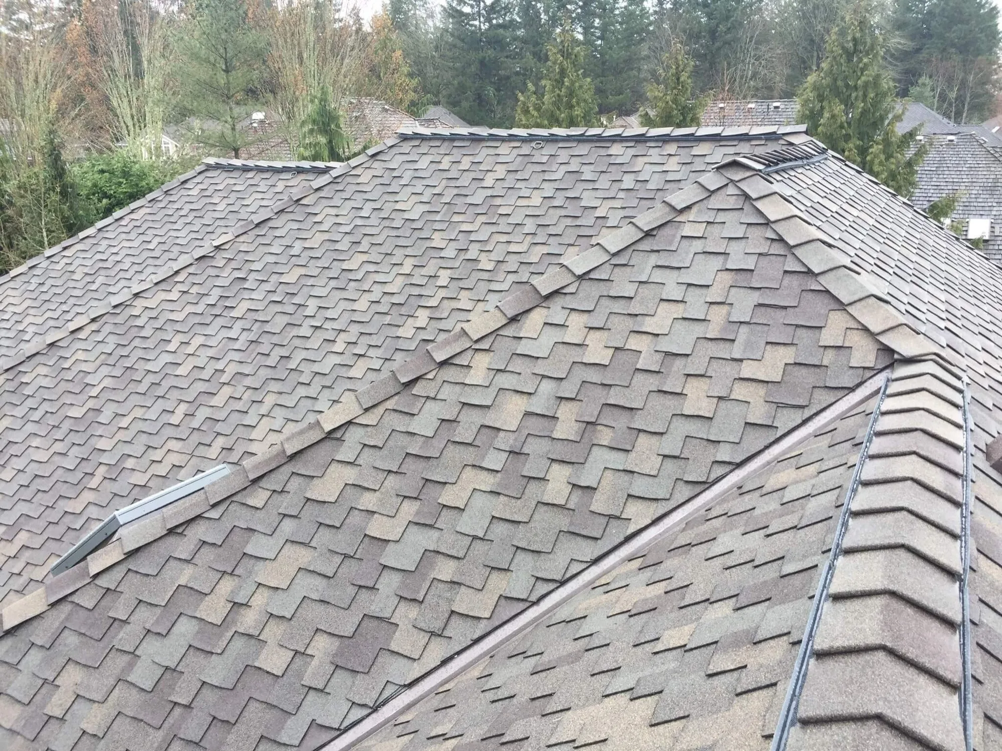Luxury / designer shingles